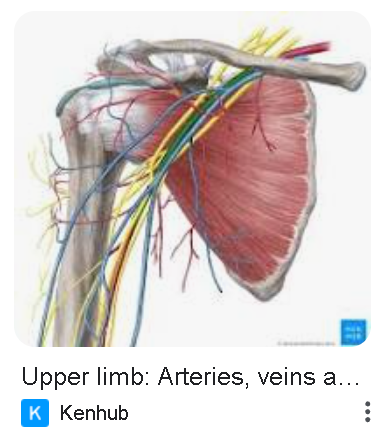 Read more about the article Higher Level Wife – 294 – 🔒 Bitter Betrayal